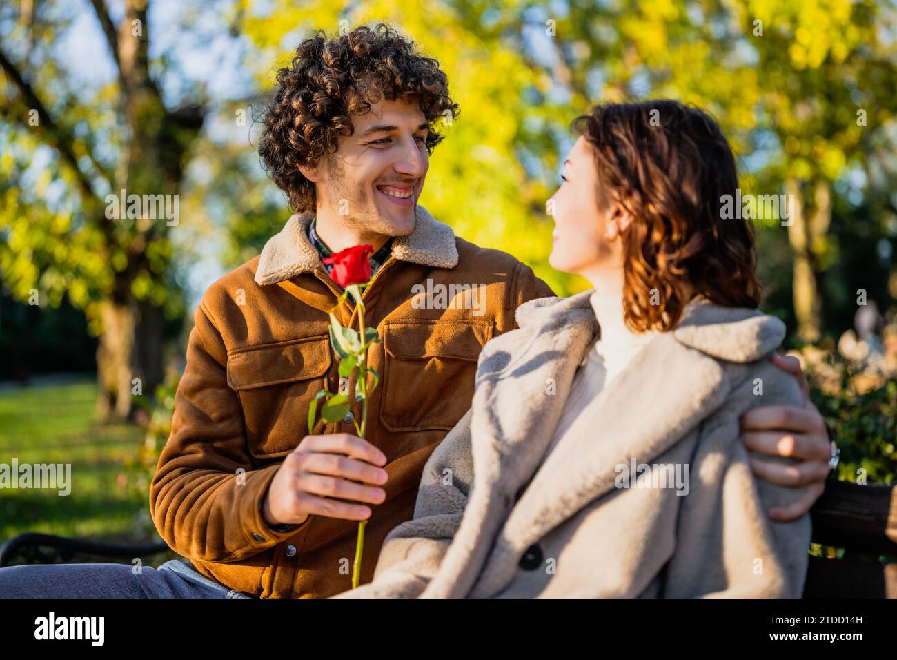 Porträt eines glücklichen Liebespaares im Park. Der Mann gibt seiner Frau Rose. Stockfoto