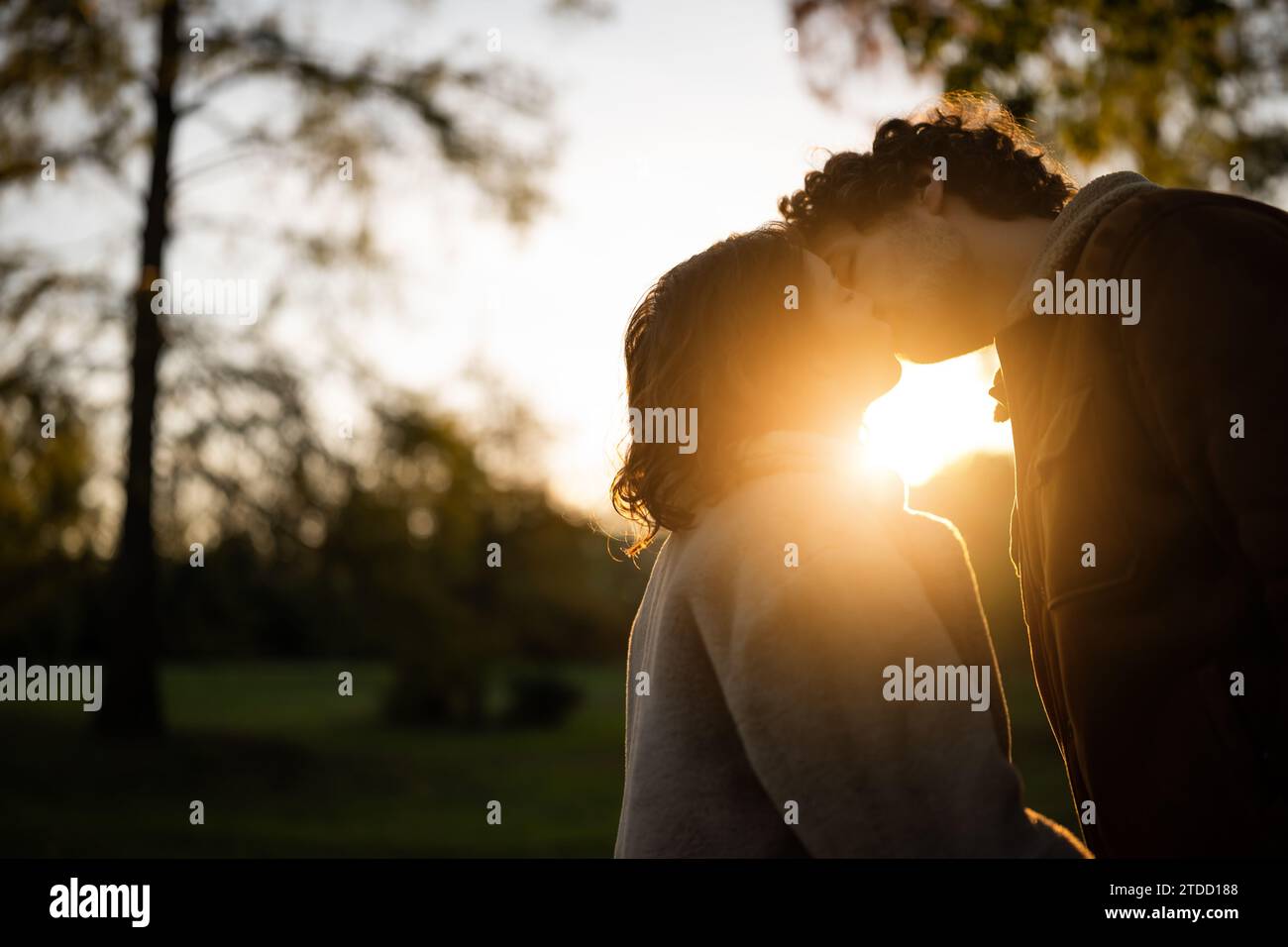 Porträt eines glücklichen Liebespaares im Park bei Sonnenuntergang. Ein Paar in der Silhouette küsst. Stockfoto