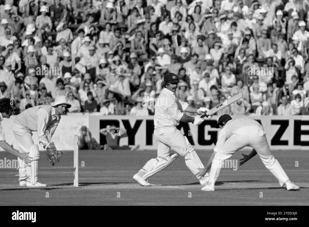 Rodney Marsh, der im letzten Ashes Test Match im Oval, Austalians in England, 1977 spielte Stockfoto