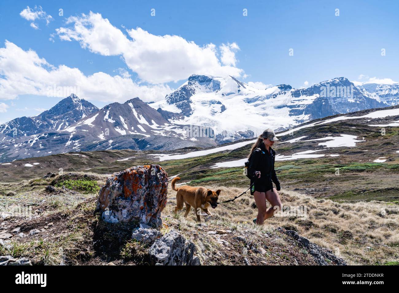 Wandern Durch Die Kanadischen Rocky Mountains Mit Dog Stockfoto