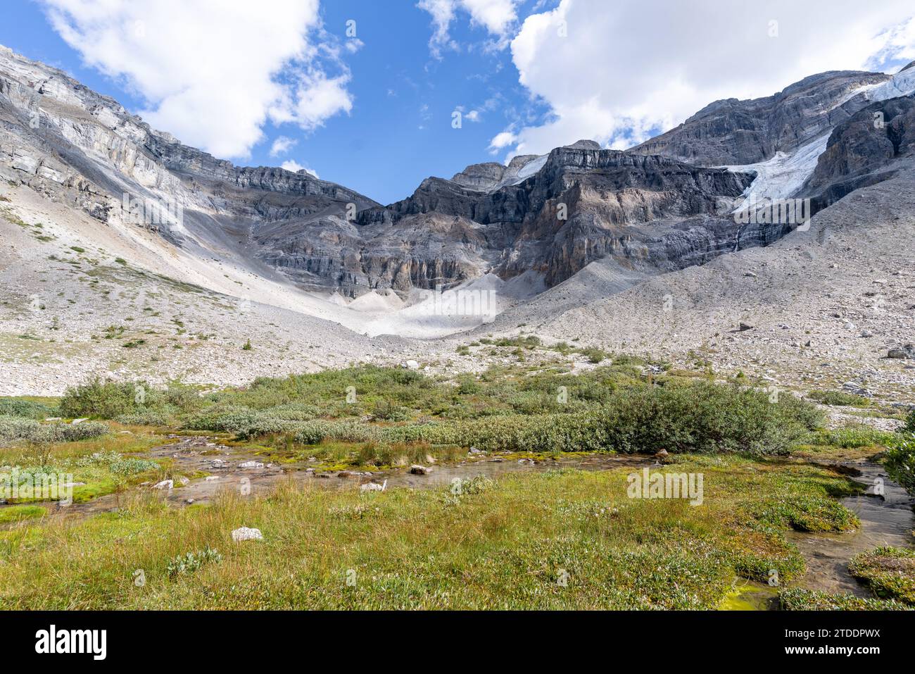 Stanley Glacier Wanderung Vom Trail Stockfoto