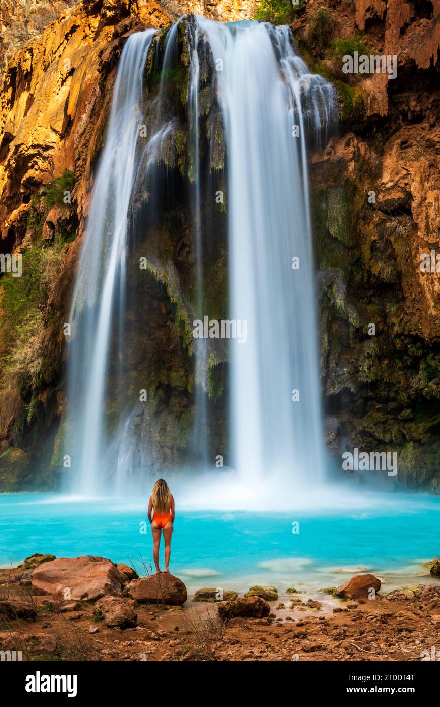 Frau schwimmt an den Havasu Falls Stockfoto