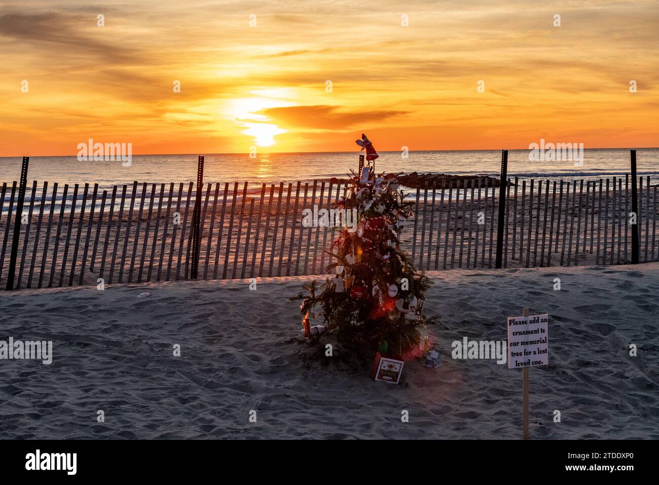 weihnachtsbaum am Strand an der New Jersey Shore bei Sonnenaufgang Stockfoto