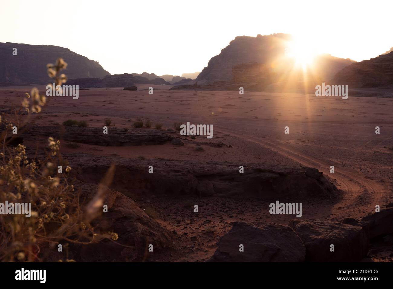 Sonnenuntergang in der roten Wüste von Wadi Rum, Jordanien Stockfoto