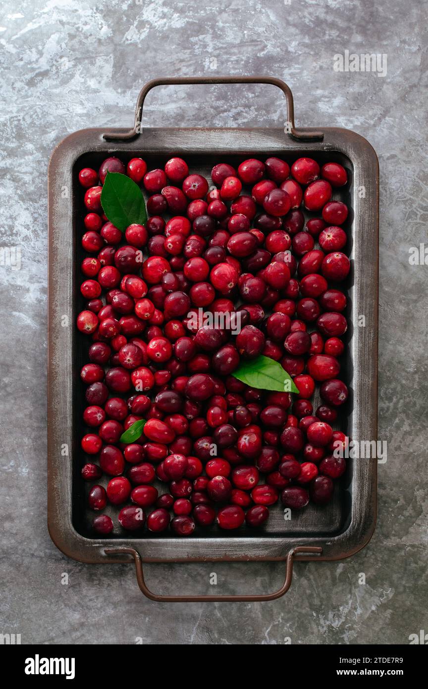 Reife Preiselbeeren auf einem Metalltablett Stockfoto