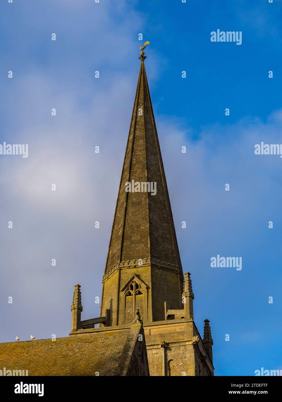 Der Turm der St. Helens Church, Abingdon-on-Thames, Oxfordshire, England, Vereinigtes Königreich, GB Stockfoto