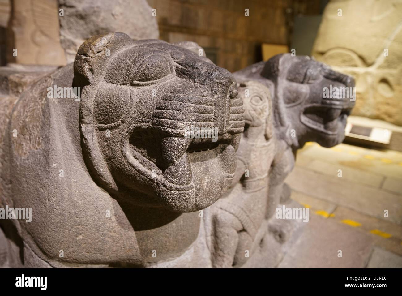 Löwenskulptur im Museum der Anatolischen Zivilisationen, Ankara Stadt, Turkiye Stockfoto