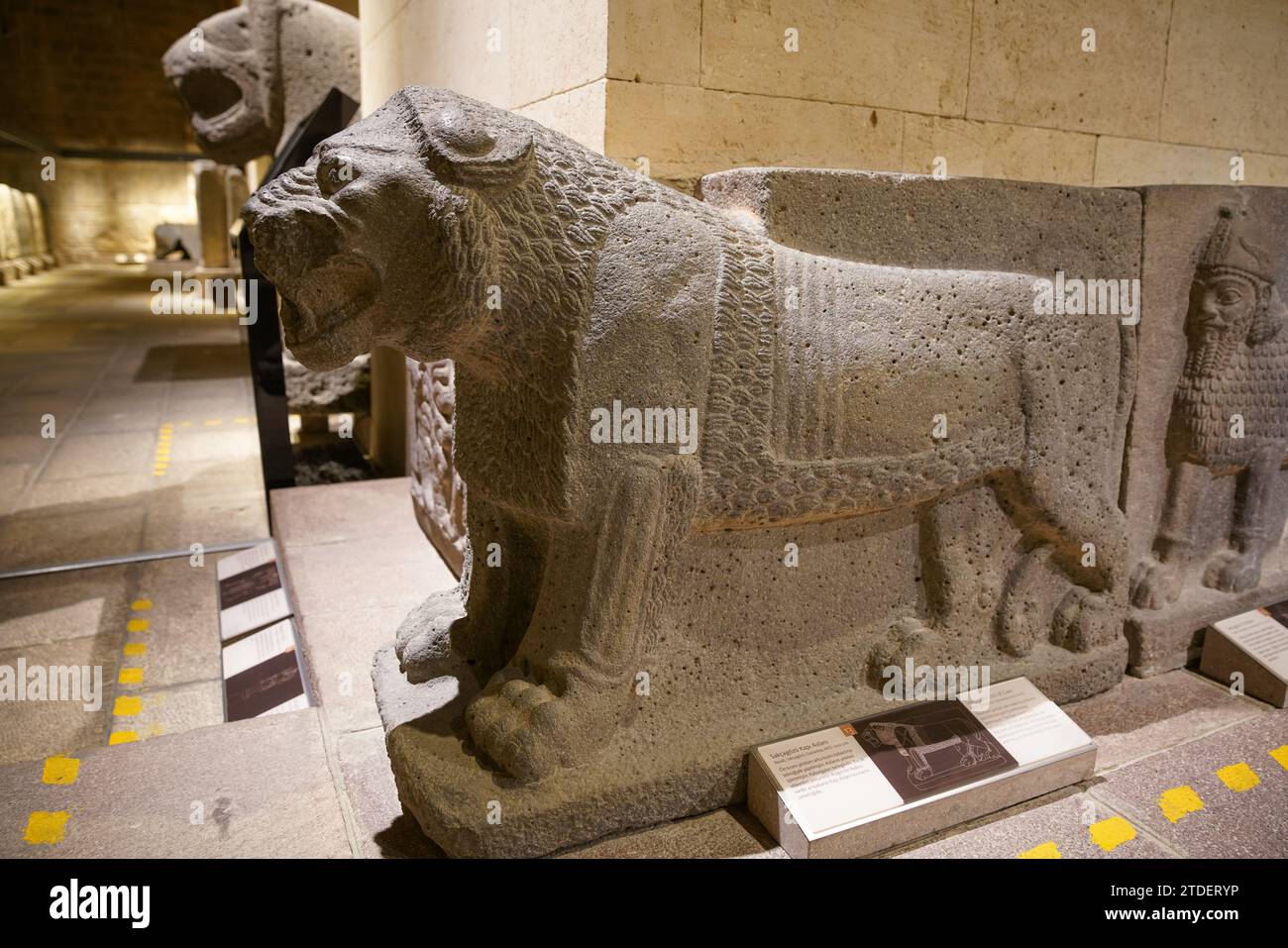 Löwenskulptur im Museum der Anatolischen Zivilisationen, Ankara Stadt, Turkiye Stockfoto