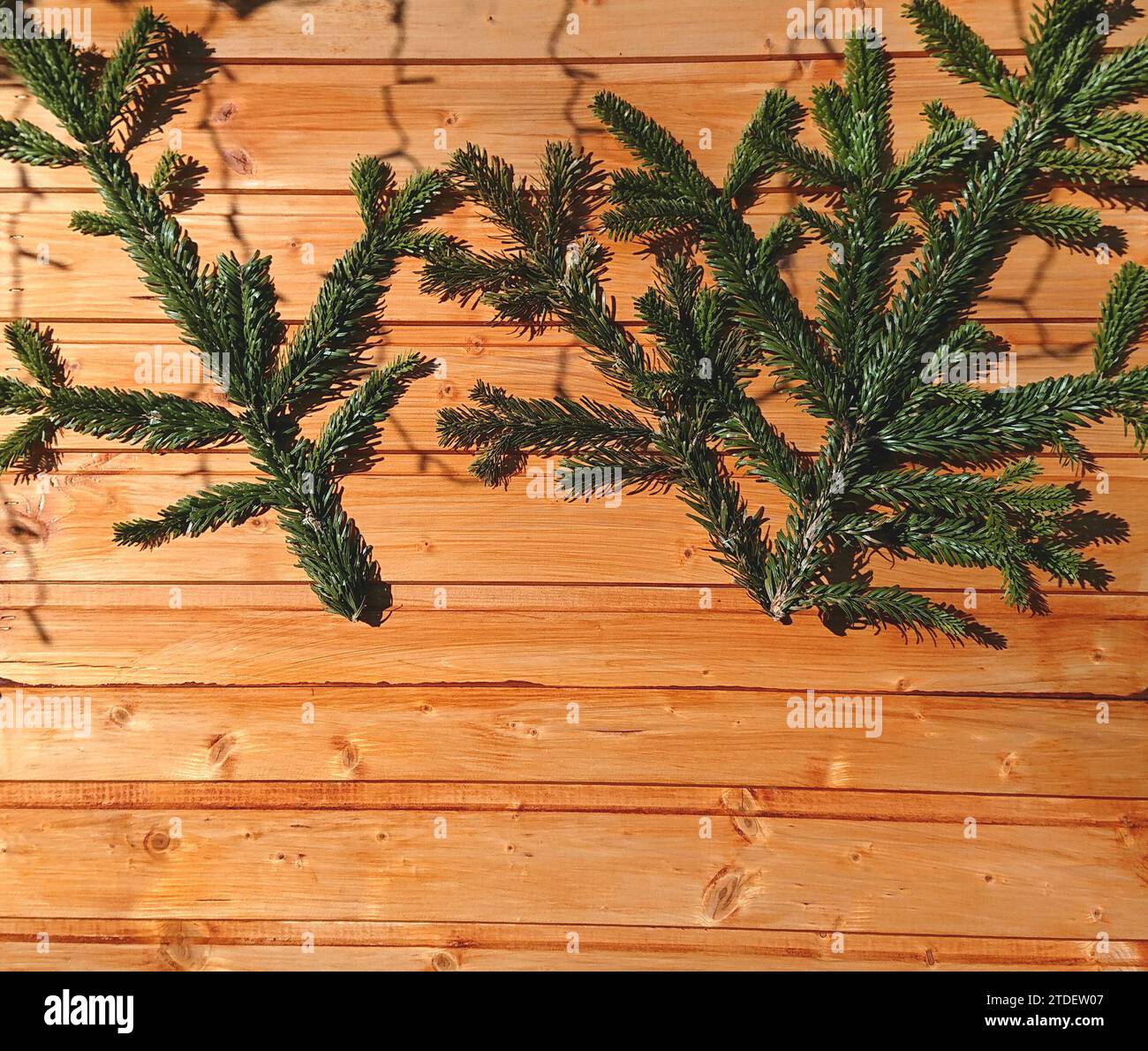 Grüne tannenzweige vor einer hölzernen Wandhütte in österreich im Winter, grüner Tannenzweig von weihnachtsbäumen, Platz für Weihnachtskarten Stockfoto