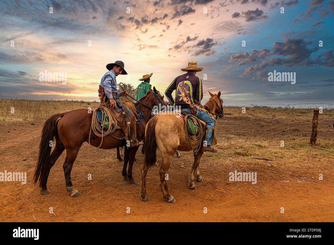 Cowboys auf der Rinderfarm Kahombo, Malanje, Angola, Afrika Stockfoto