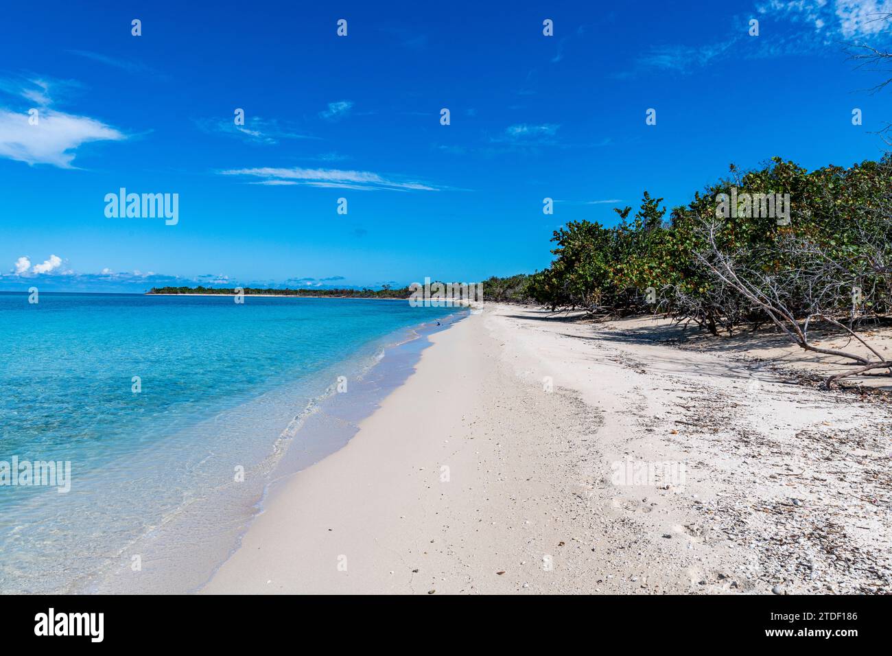 Weißer Sandstrand im Parque Nacional Marino de Punta Frances Punta Pedernales, Isla de la Juventud (Insel der Jugend), Kuba, Westindien Stockfoto