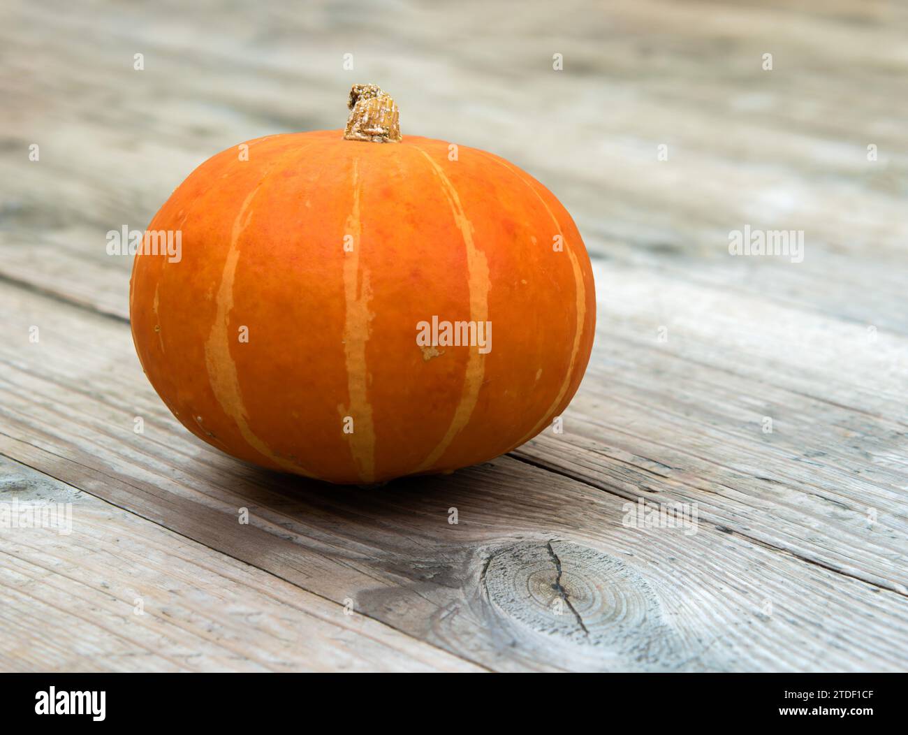 Kürbis (Red kuri Squash; Hokkaido) auf einem alten, unbemalten Holztisch Stockfoto