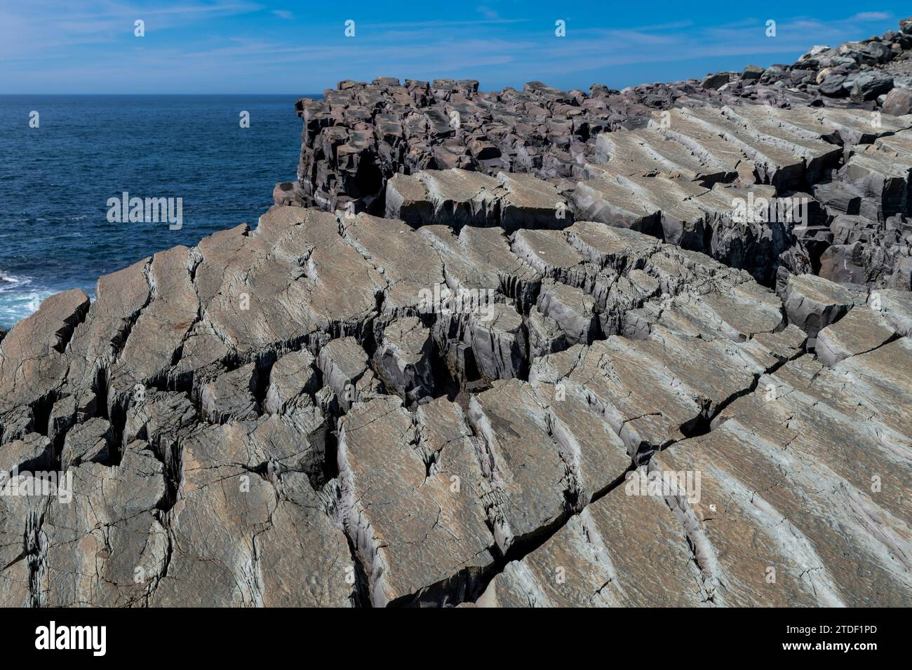 Fossilien aus dem Präkambrium, Verwechslung, UNESCO-Weltkulturerbe, Avalon Peninsula, Neufundland, Kanada, Nordamerika Stockfoto