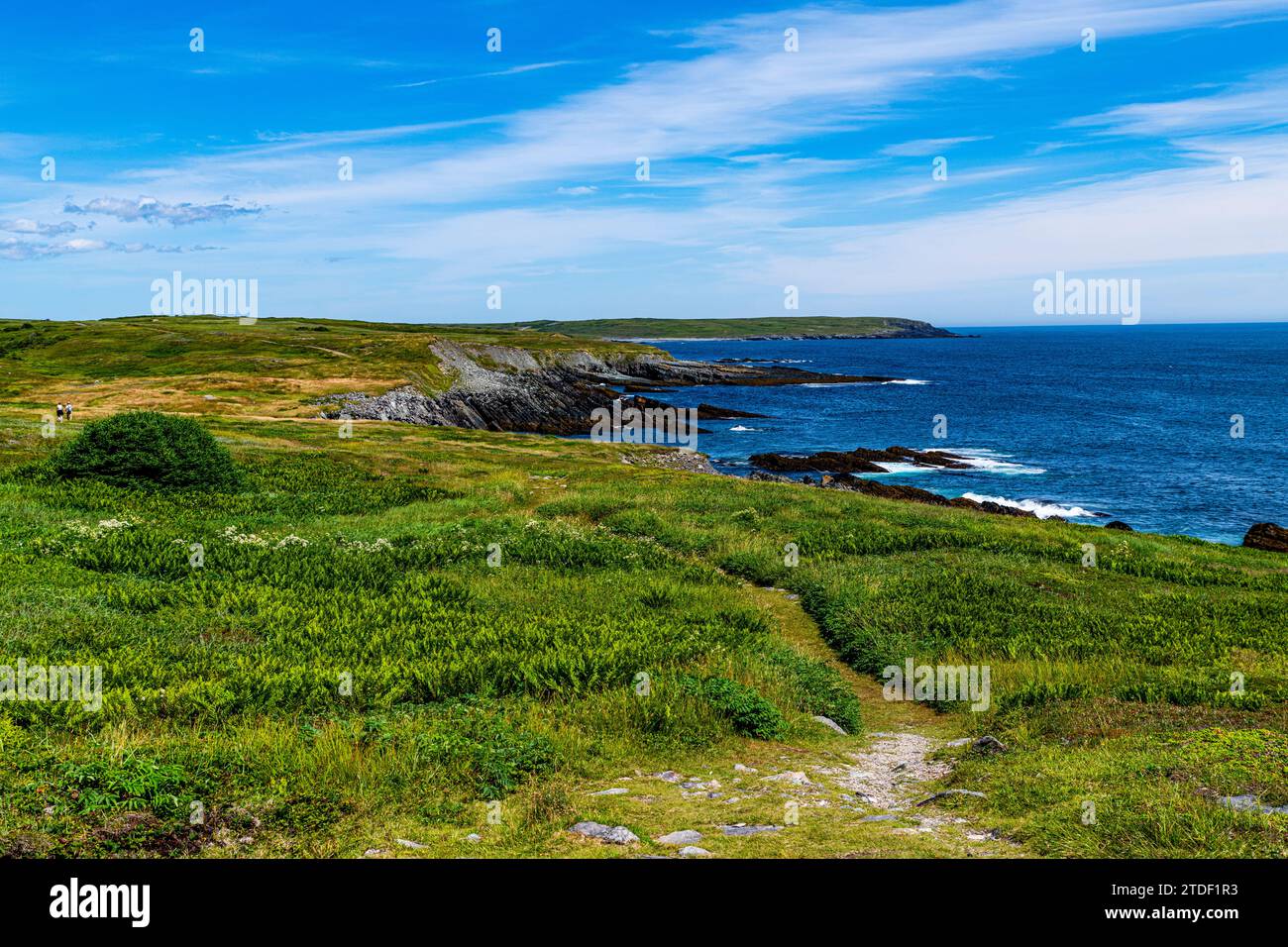 Küste von Mirren Point, UNESCO-Weltkulturerbe, Avalon Peninsula, Neufundland, Kanada, Nordamerika Stockfoto
