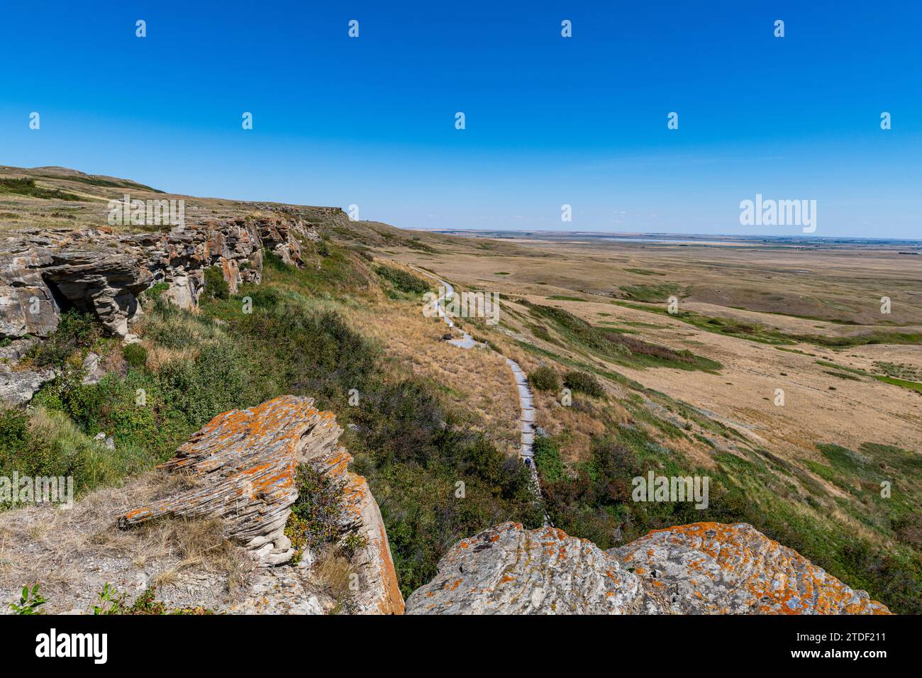 Cliff of the Head zerschmettert in Buffalo Jump, UNESCO-Weltkulturerbe, Alberta, Kanada, Nordamerika Stockfoto