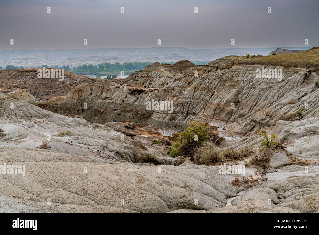 Erodierte Landschaft im Dinosaur Provincial Park, UNESCO-Weltkulturerbe, Alberta, Kanada, Nordamerika Stockfoto