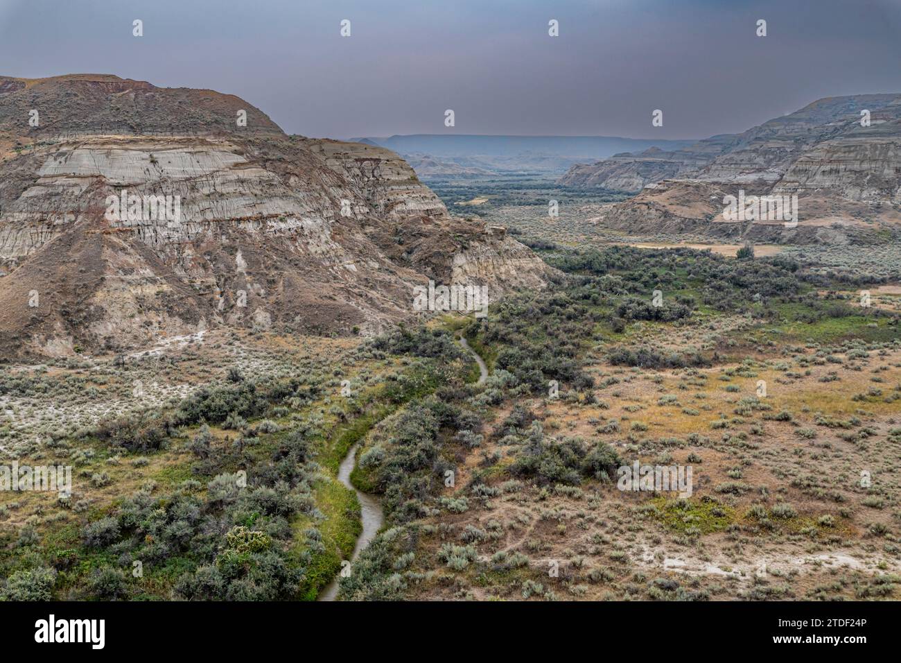 Erodierte Landschaft im Dinosaur Provincial Park, UNESCO-Weltkulturerbe, Alberta, Kanada, Nordamerika Stockfoto