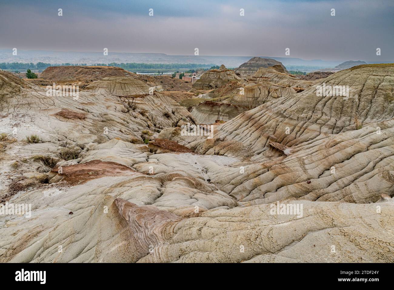 Erodierte Landschaft im Dinosaur Provincial Park, UNESCO-Weltkulturerbe, Alberta, Kanada, Nordamerika Stockfoto