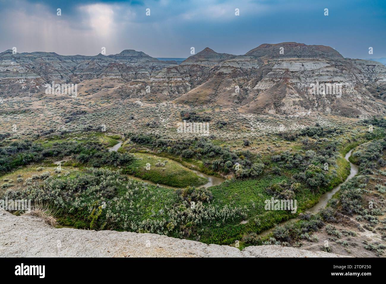 Erodierte Landschaft im Dinosaur Provincial Park, UNESCO-Weltkulturerbe, Alberta, Kanada, Nordamerika Stockfoto