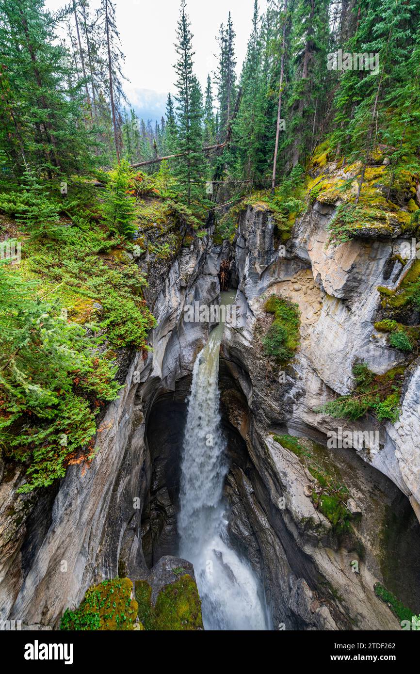 Maligne Canyon, Jasper Nationalpark, UNESCO-Weltkulturerbe, Alberta, Kanadische Rocky Mountains, Kanada, Nordamerika Stockfoto