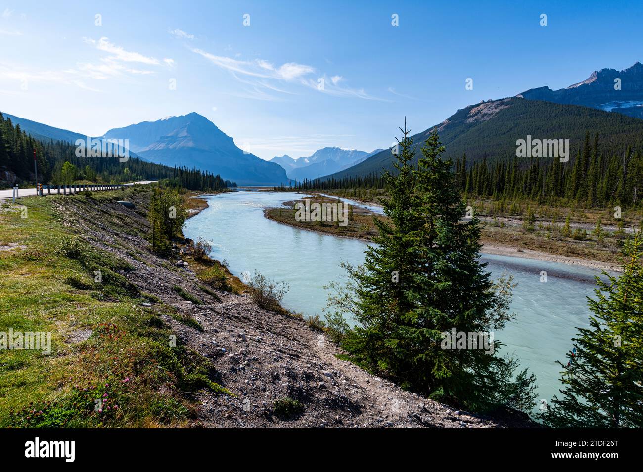 Athabasca River, Glacier Parkway, Jasper Nationalpark, UNESCO-Weltkulturerbe, Alberta, Kanadische Rocky Mountains, Kanada, Nordamerika Stockfoto