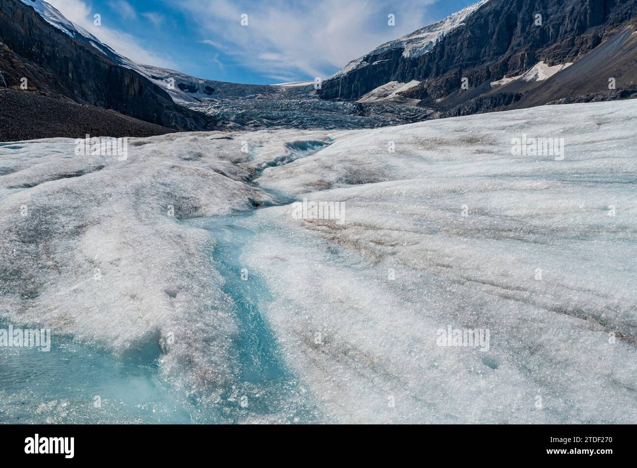 Columbia Icefield, Glacier Parkway, Alberta, Kanada, Nordamerika Stockfoto