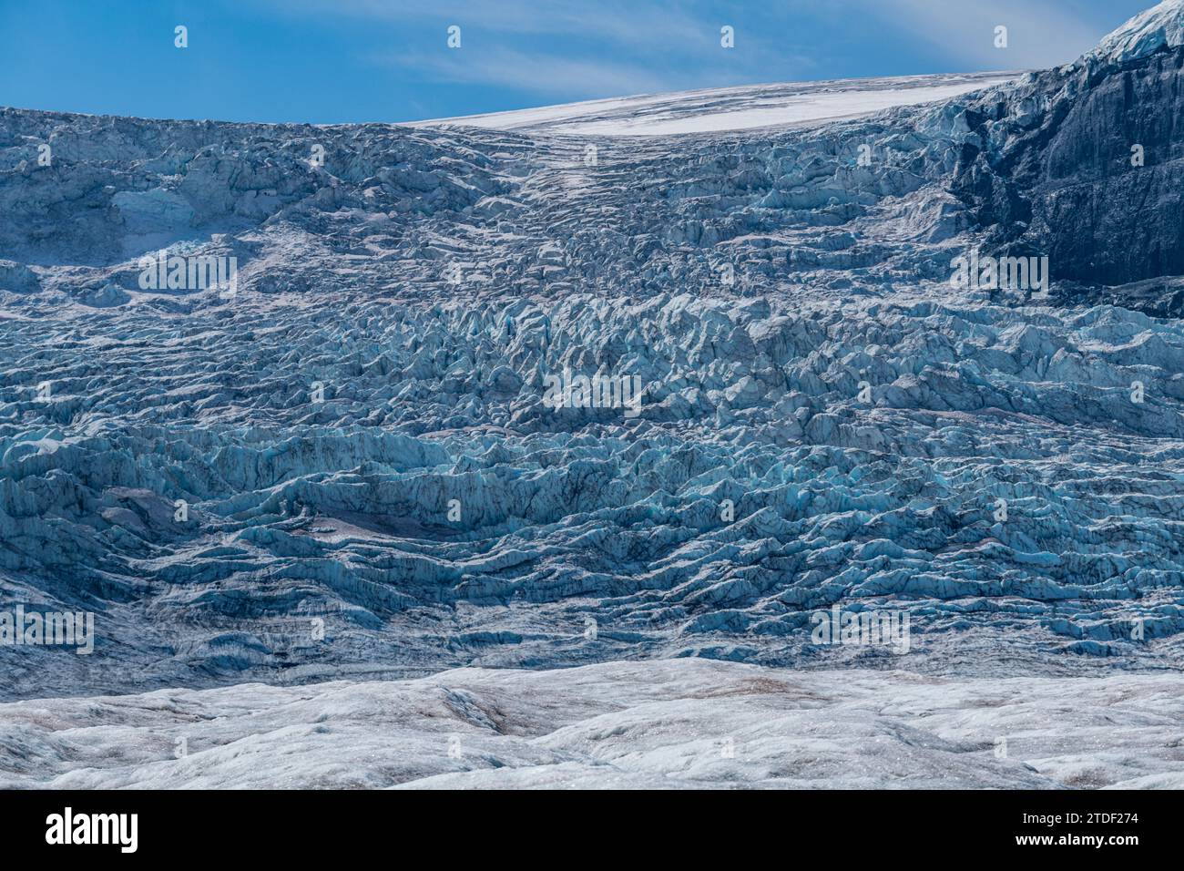 Columbia Icefield, Glacier Parkway, Alberta, Kanada, Nordamerika Stockfoto