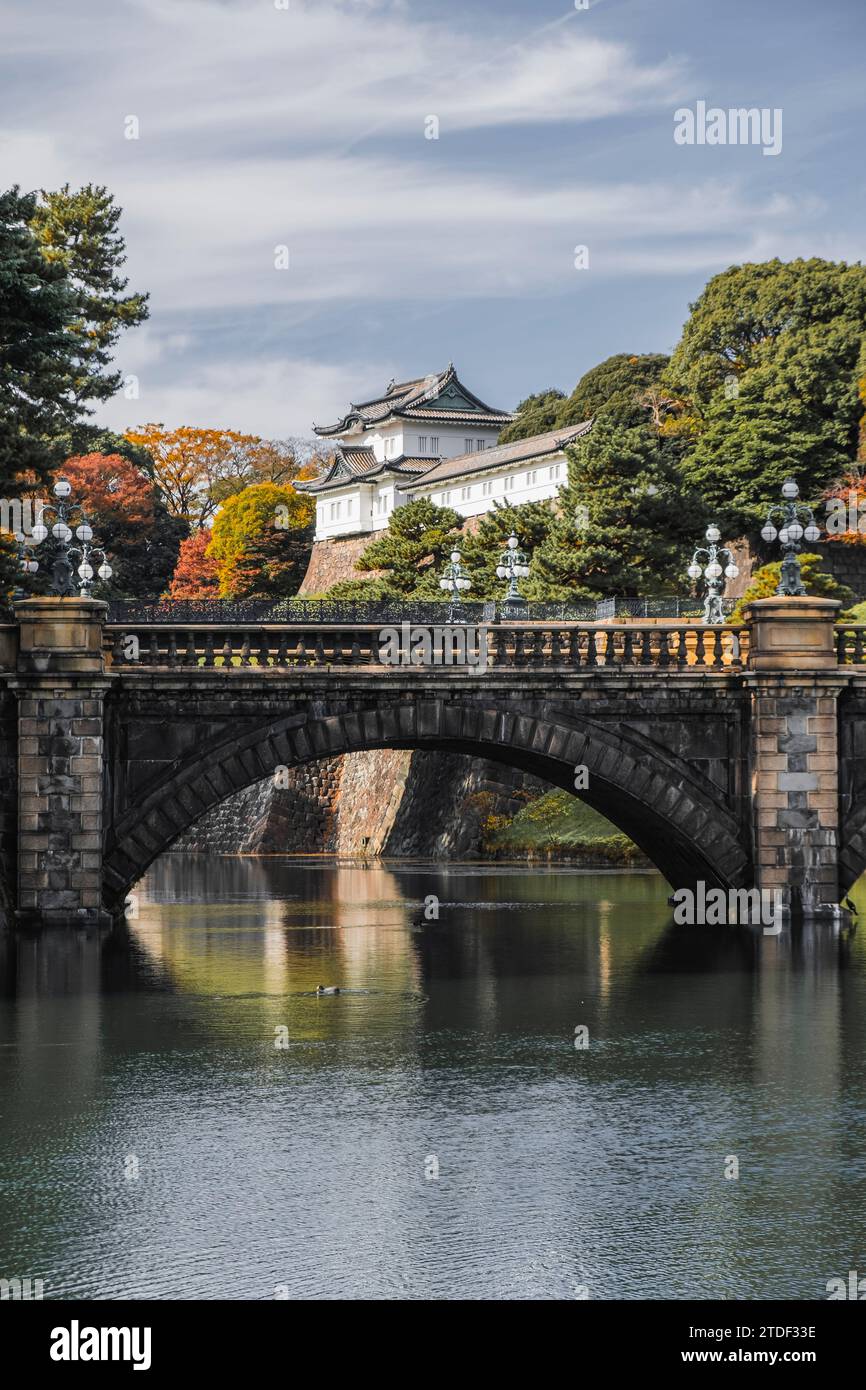 Nijubashi Brücke über den Graben und einen Wachturm im Kaiserpalast von Tokio im Herbst, Tokio, Honshu, Japan, Asien Stockfoto