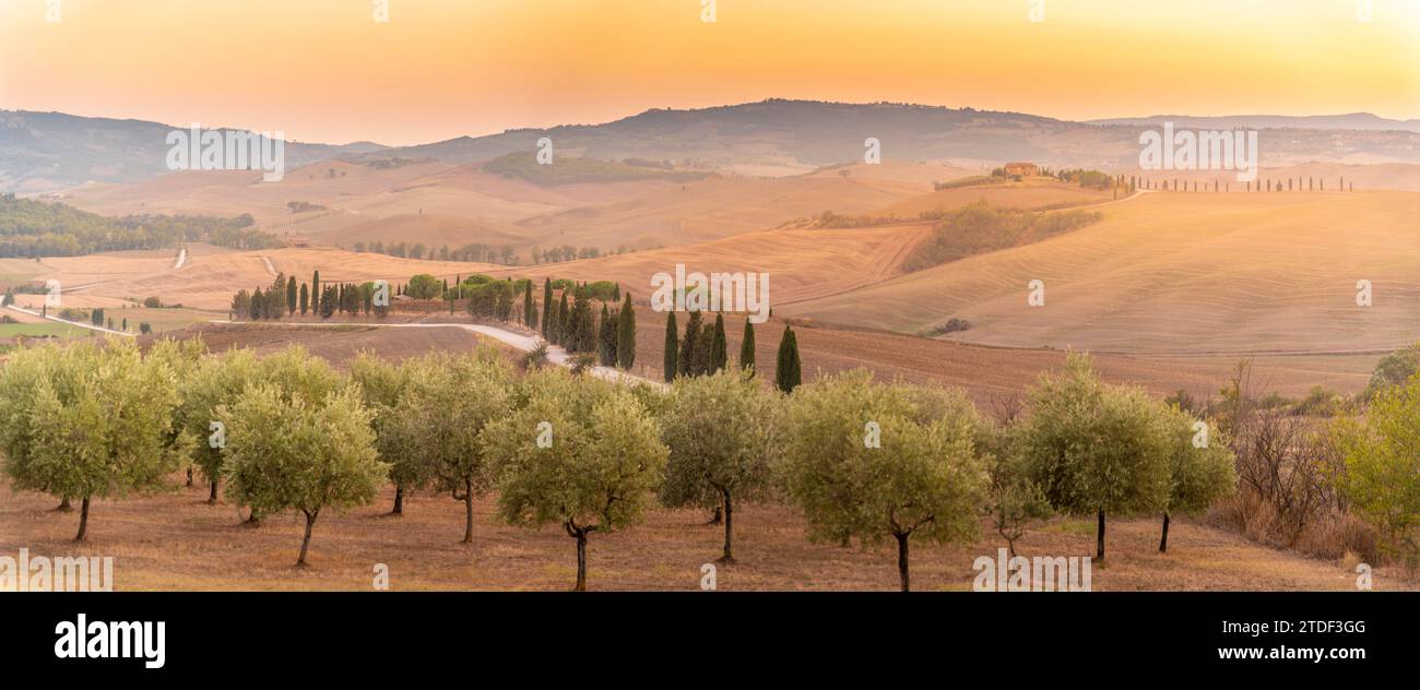 Blick auf die goldene toskanische Landschaft in der Nähe von Pienza, Pienza, Provinz Siena, Toskana, Italien, Europa Stockfoto