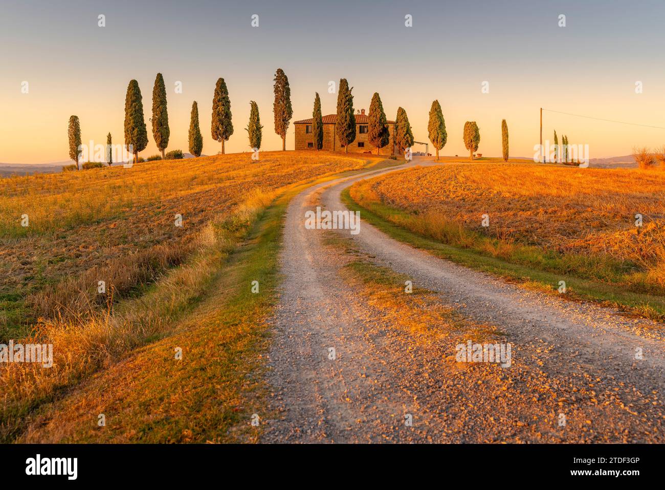 Blick auf Zypressen in der Landschaft in der Nähe von Pienza, Val d'Orcia, UNESCO-Weltkulturerbe, Provinz Siena, Toskana, Italien, Europa Stockfoto