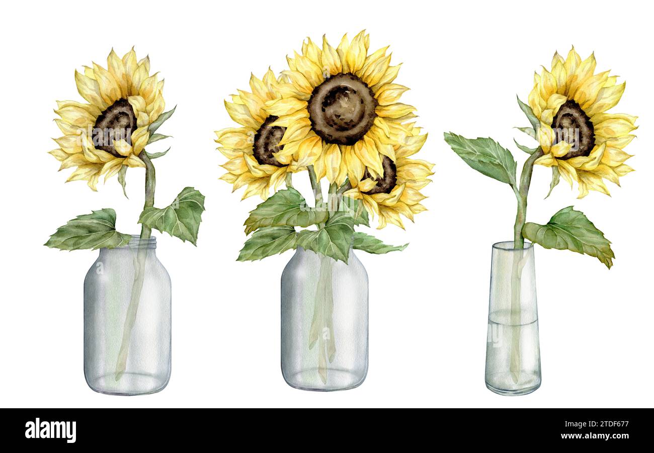 Set mit Aquarellstrauß aus Sonnenblumen im Glasgefäß. Handgezeichnete Illustration isoliert auf weißem Hintergrund. Ideal für Hochzeitseinladungen und Save the Stockfoto