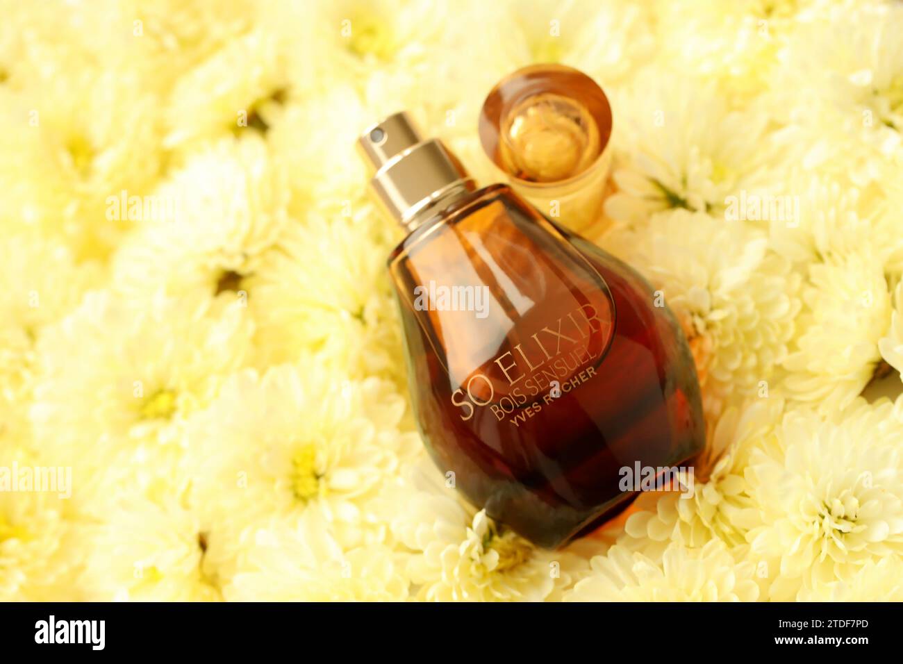 KHARKIV, UKRAINE - 2. JANUAR 2021 Flasche des Parfums so Elixir Bois Sensuel von Yves Rocher, einem französischen Unternehmen für Hautpflege, Kosmetik und Parfum, das 1965 gegründet wurde Stockfoto