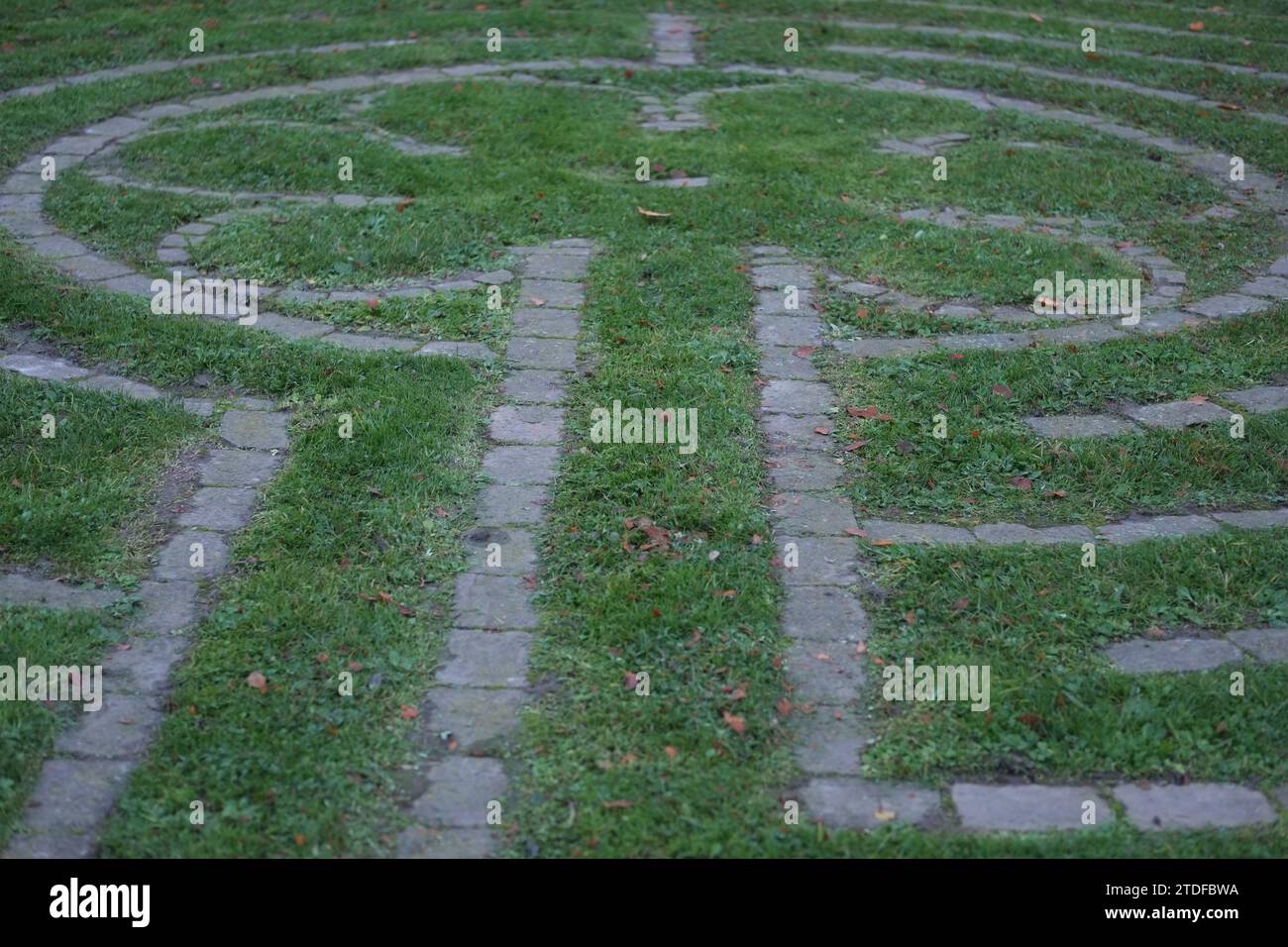 Detail von grünem Gras und Steinen im Muster eines Labyrint-Gartens Stockfoto