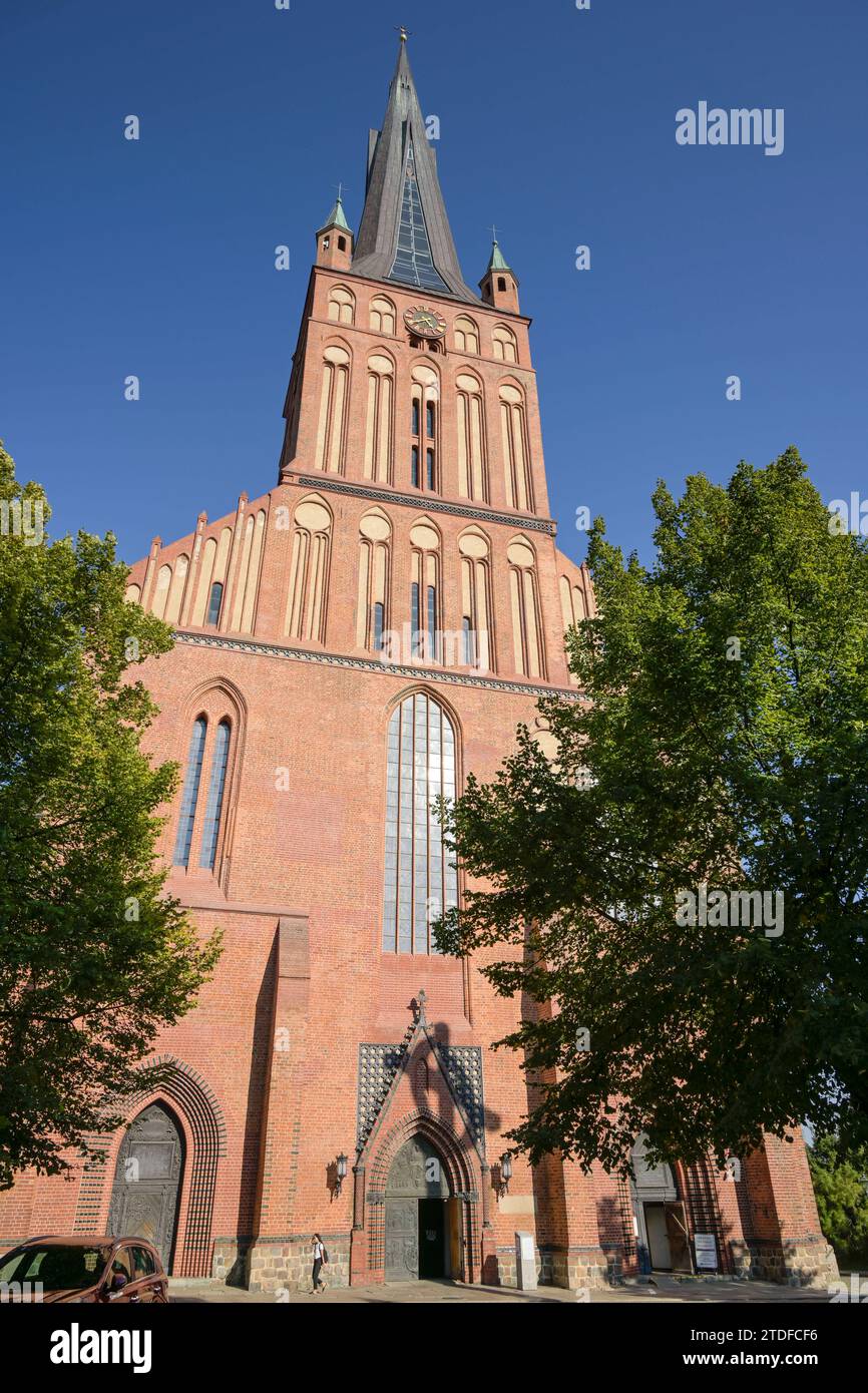 Jakobskathedrale, Stettin, Woiwodschaft Westpommern, Polen *** Kathedrale St. James, Stettin, Woiwodschaft Westpommern, Polen Stockfoto