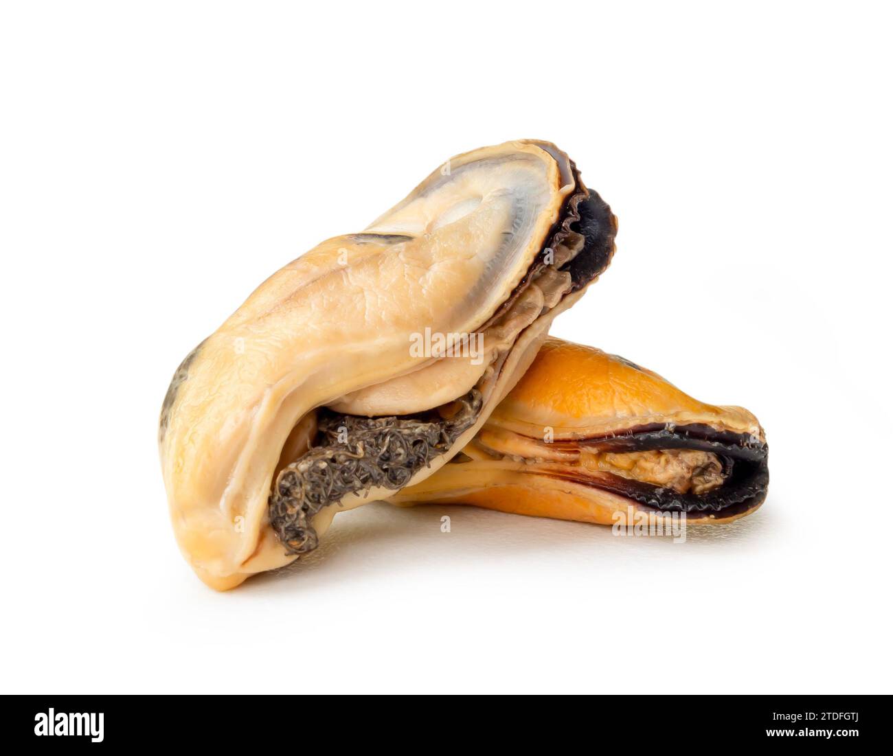 Gedämpfte oder gekochte Speisen von frischen, schönen grünen Muscheln in Stapel- oder Kreuzform ohne Schalen sind auf weißem Hintergrund mit Schneidepfad isoliert. Stockfoto