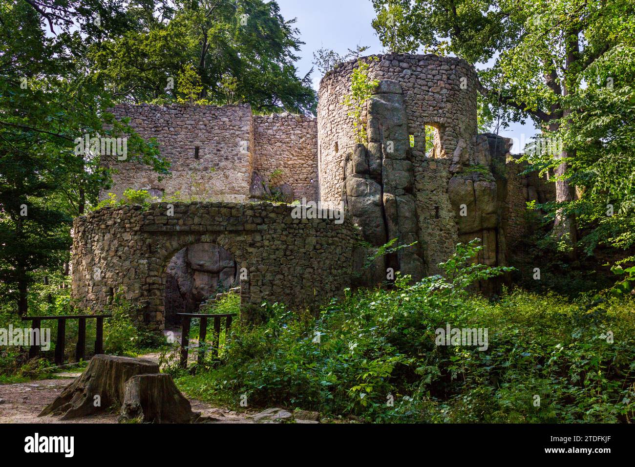 Ruinen der Burg Bolczow im Riesengebirge in Polen Stockfoto
