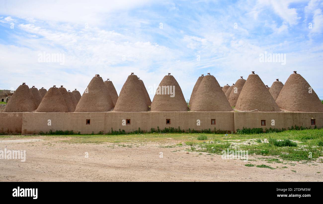 Die Gründung der Stadt Harran geht wahrscheinlich auf das 18. Jahrhundert v. Chr. zurück. Typische konische Häuser dieser Region Stockfoto