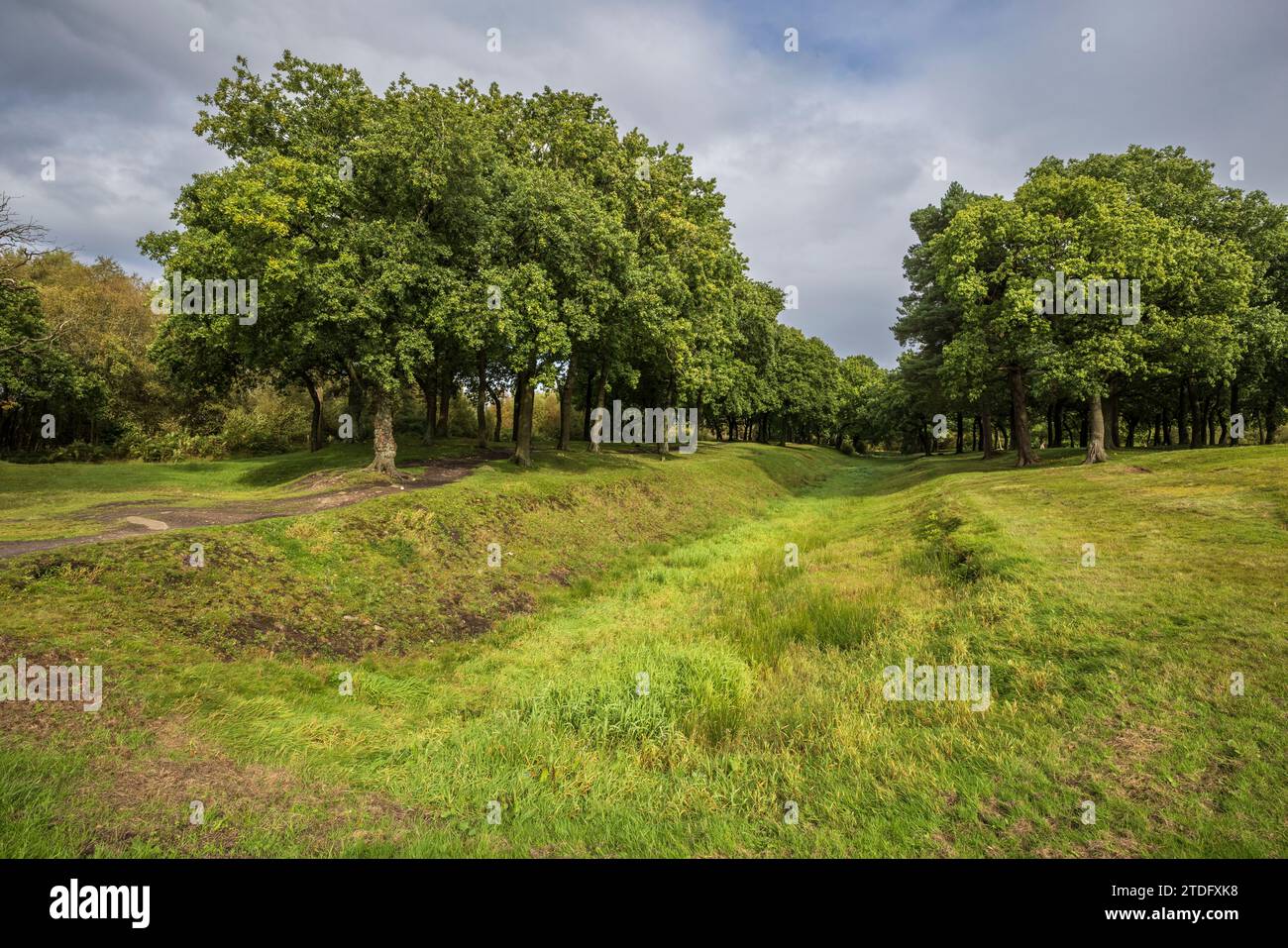 Entlang der römischen Antoninemauer und des Verteidigungsgrabens bei Rough Castle, Falkirk, Stirling, Schottland Stockfoto