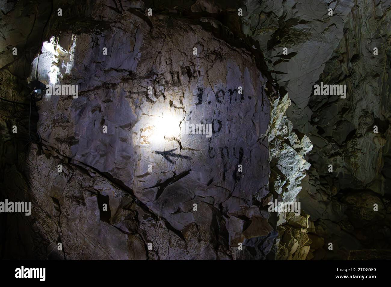 Die Meziad-Höhle. Eine der schönsten Höhlen Rumäniens, die Meziad-Höhle ähnelt einer unterirdischen gotischen Kathedrale. Stockfoto