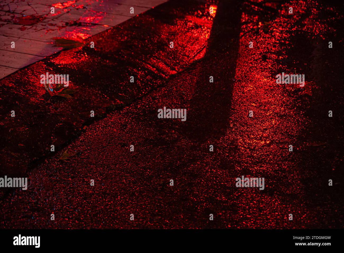 Glänzende, farbenfrohe Straßen mit Kopfsteinpflaster schimmern nach einem Regensturm mit künstlichem Licht und schaffen eine ideale, abstrakte Textur für Hintergrundillustrierungen Stockfoto