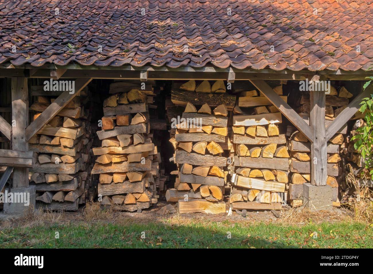 Sauber gestapeltes Feuerholz trocknet in einem überdachten, offenen Schuppen, Münsterland, Nordrhein-Westfalen, Deutschland Stockfoto