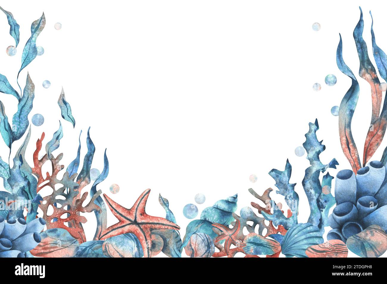 Unterwasserwelt Clipart mit Meerestieren Wal, Schildkröte, Kraken, Seestern, Seesternen, Muscheln, Korallen und Algen. Handgezeichnete Aquarellillustration. Einstellen Stockfoto