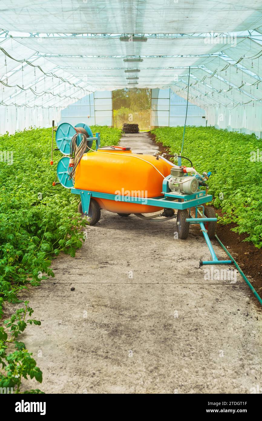 Große Pestizidspritze im Gewächshaus Stockfoto