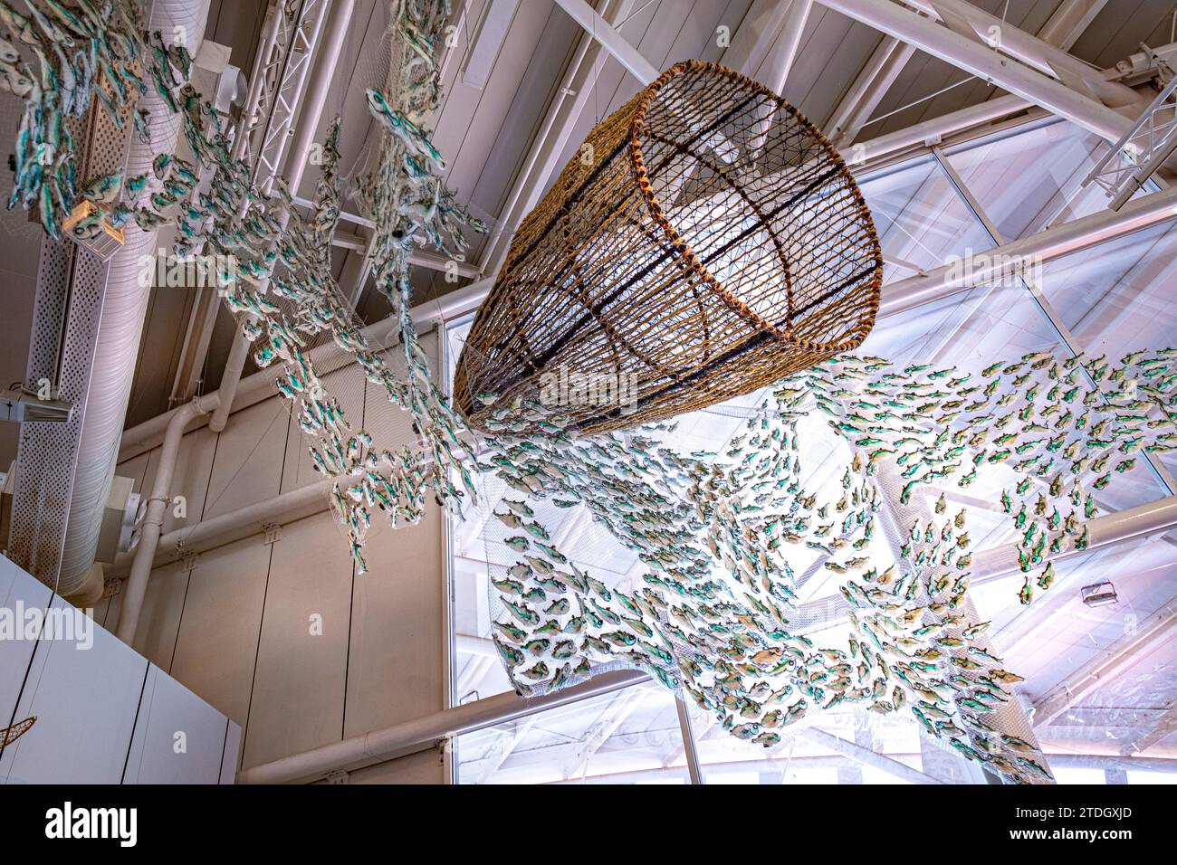 Das Australian National Maritime Museum (ANMM) ist ein staatlich betriebenes Meeresmuseum in Darling Harbour, Sydney, NSW, Australien Stockfoto