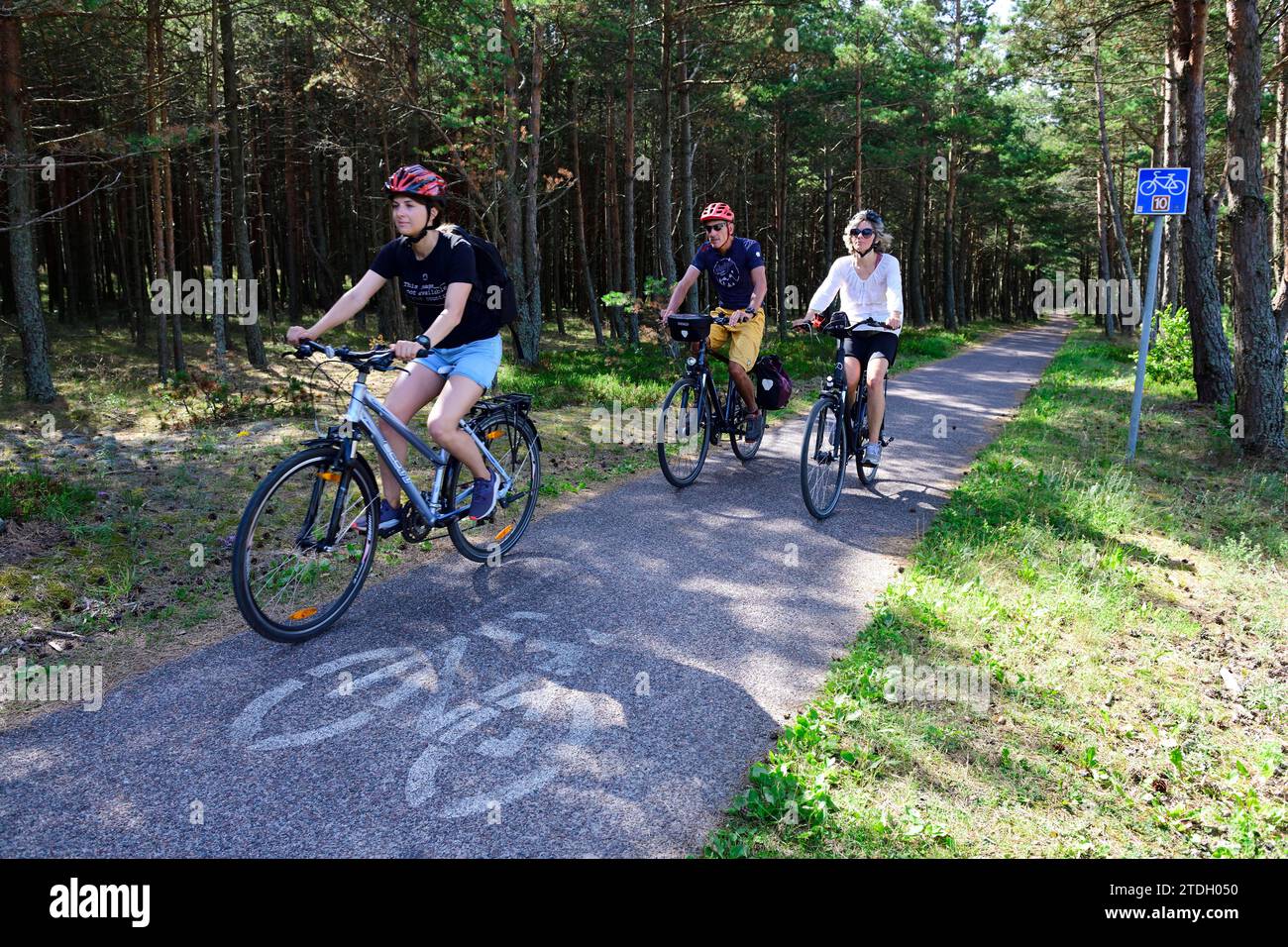 Radfahrer auf Radweg Nr. 10 der Kurischen Nehrung, Juodkrante, Litauen Stockfoto