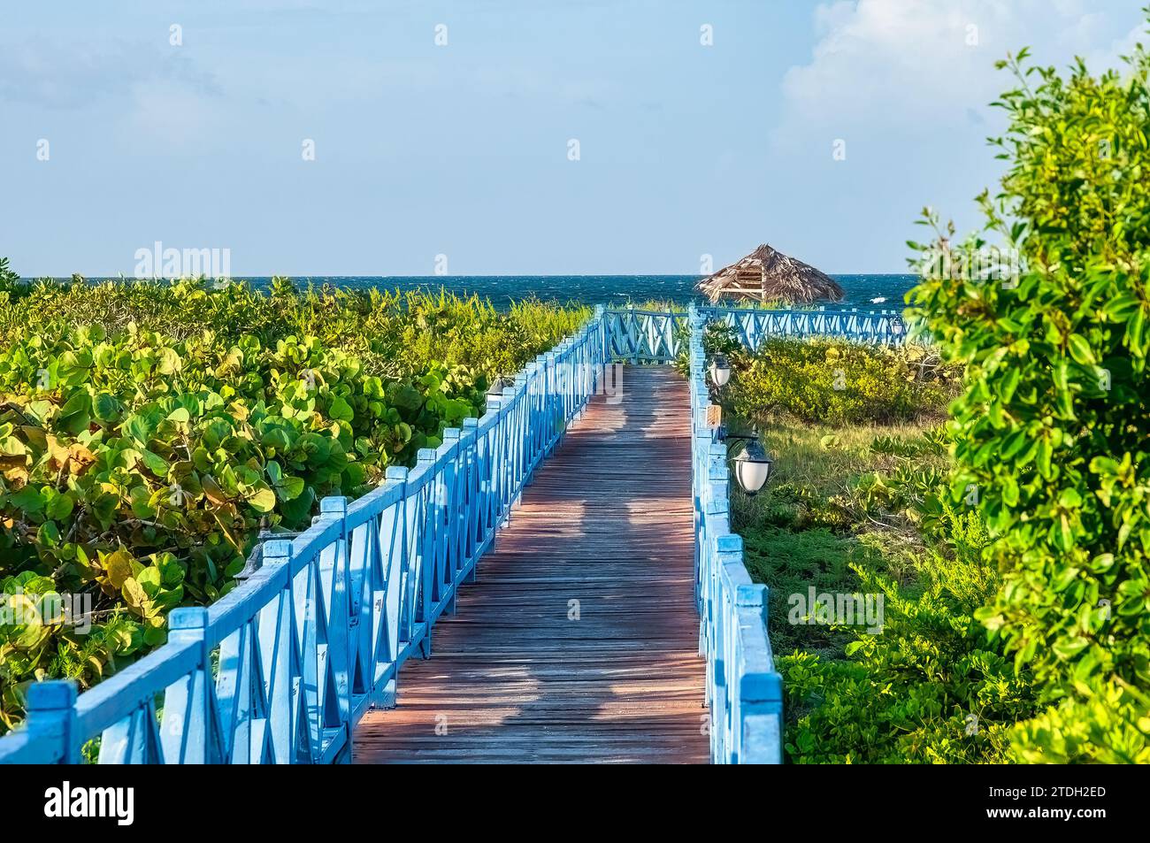 Cayo Santa Maria, Villa Clara, Kuba Stockfoto