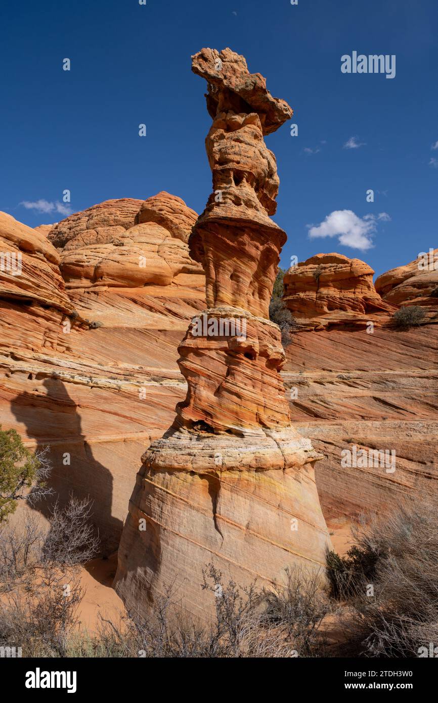 Der Mond über der Chess Queen, einem erodierten Sandsteinturm in der Nähe von South Coyote Buttes, Vermilion Cliffs National Monument, Arizona. Stockfoto