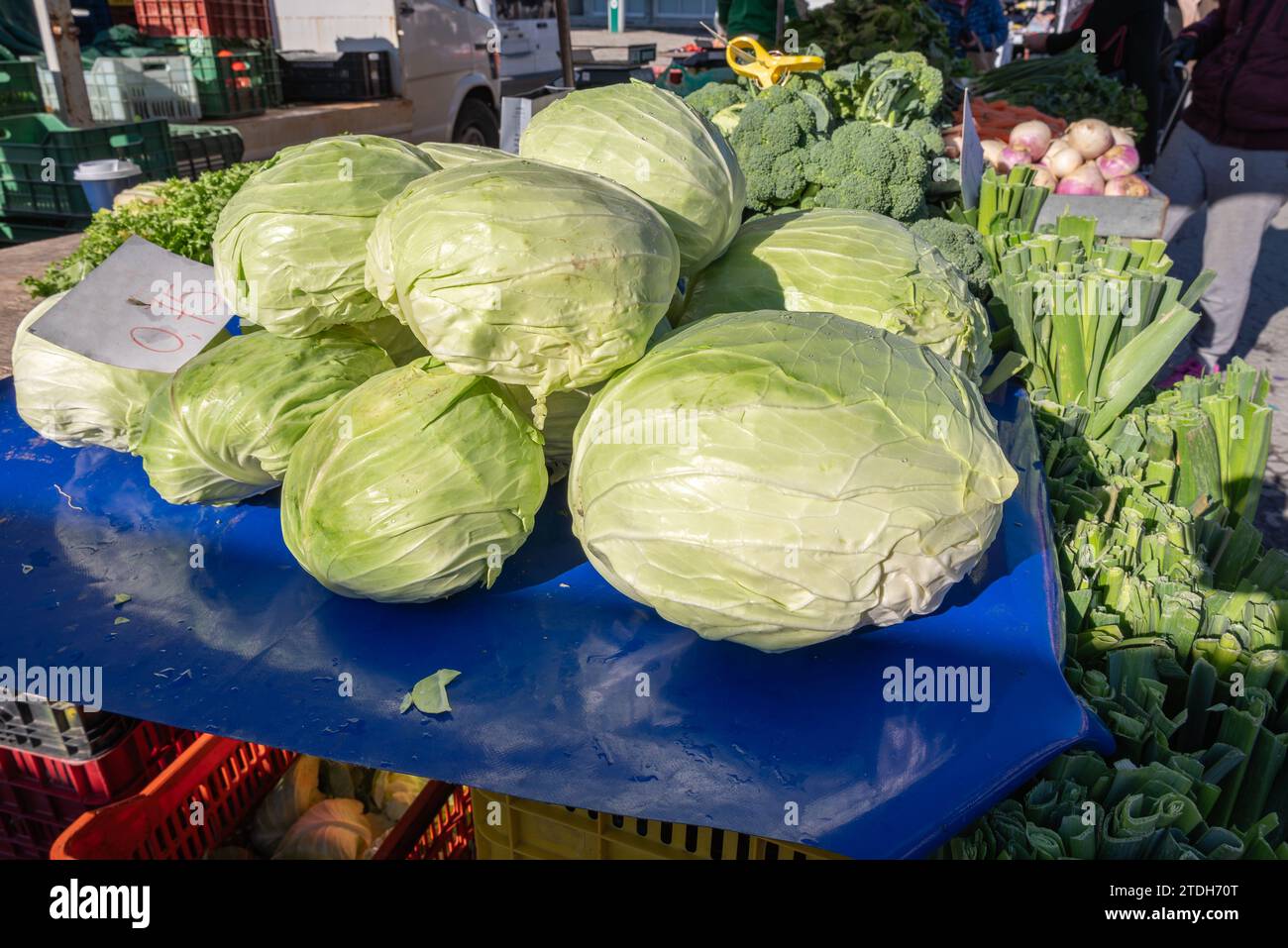 Große Kohlköpfe zum Verkauf auf einem Straßenmarkt in Yannitsa, Griechenland. Stockfoto