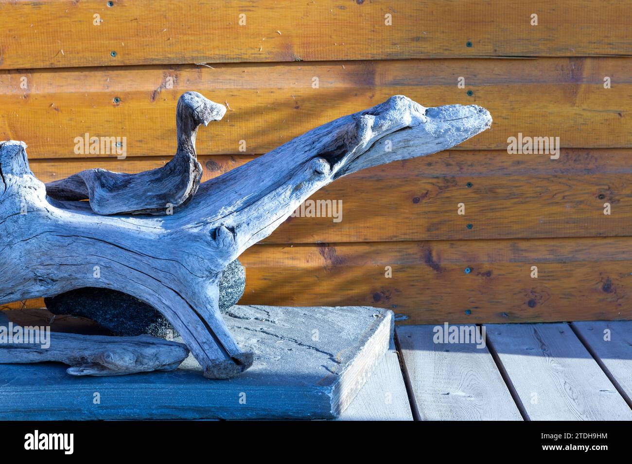 Skulptur aus Baumästen, die in Form von Tieren wiedergefunden wurden. Métis-sur-Mer, Quebec, Kanada. Stockfoto Skulptur aus Baumästen, die in Form von Tieren wiedergefunden wurden. Métis-sur-Mer, Quebec, Kanada. Stockfoto