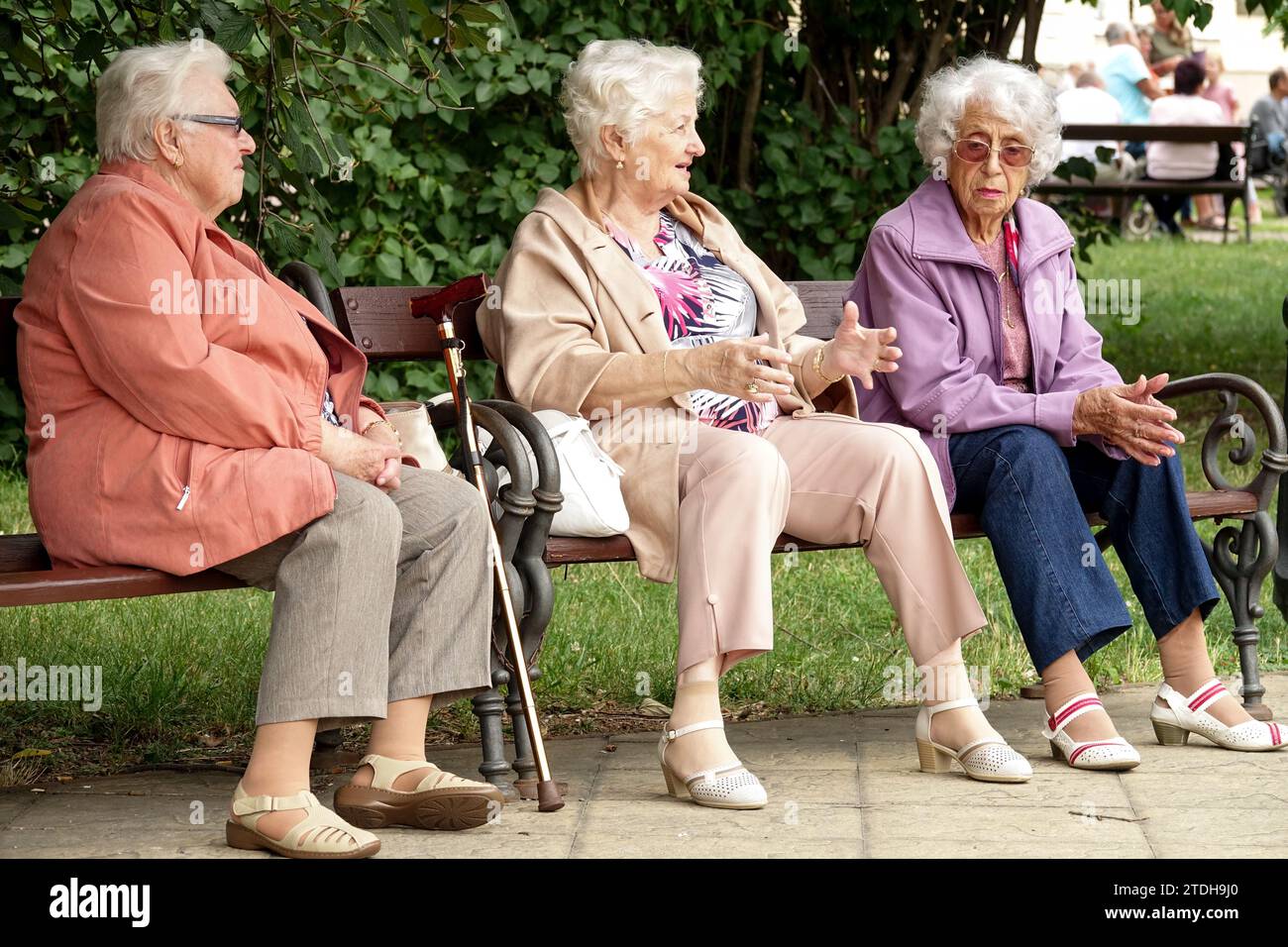 Drei alte Damen diskutieren. Rentner sitzen auf einer Bank in einem Stadtpark Ruhestand, ältere Generation, alte Leute, Senioren Lebensstil, alternde Bevölkerung Stockfoto